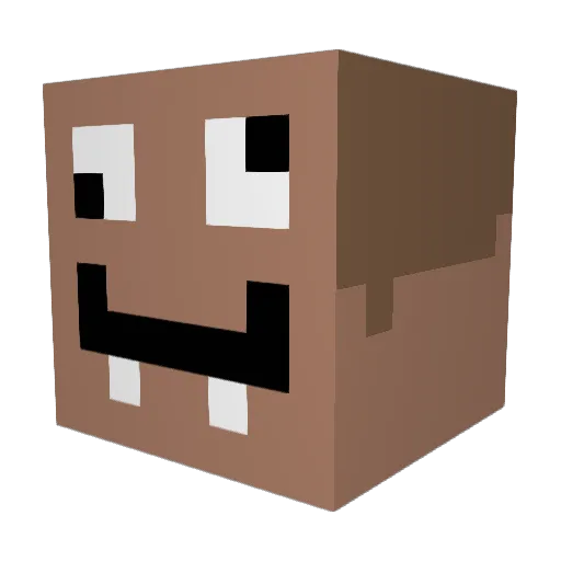 Cessellea Minecraft avatar head, 3D render