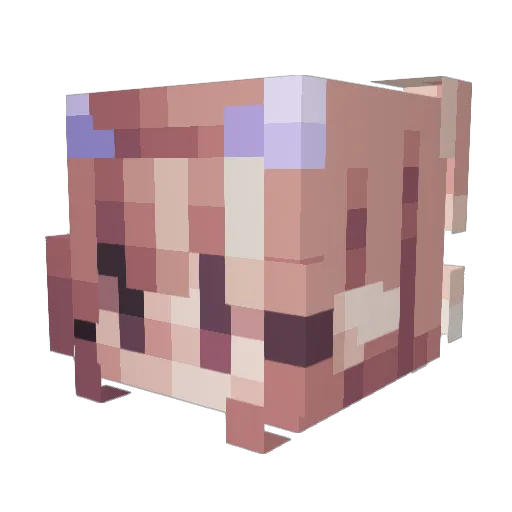 Cesses Minecraft avatar head, 3D render