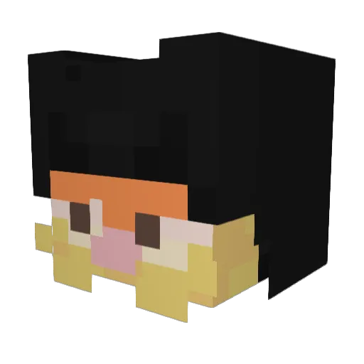 CevapEmir Minecraft avatar head, 3D render