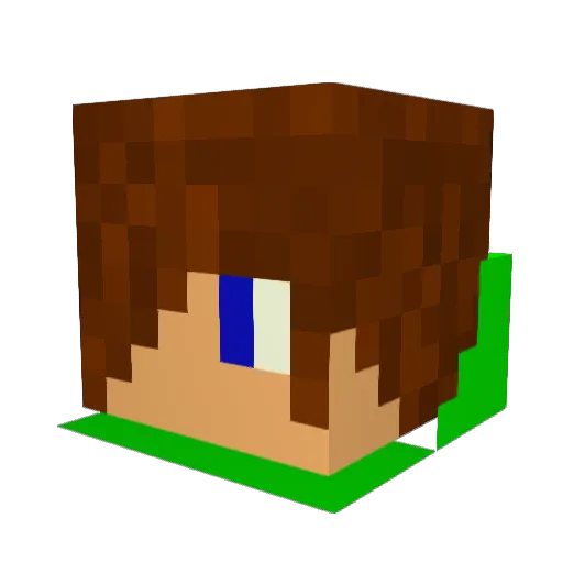 Ceviiin Minecraft avatar head, 3D render