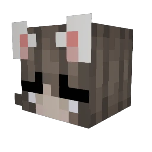 Cevik19 Minecraft avatar head, 3D render