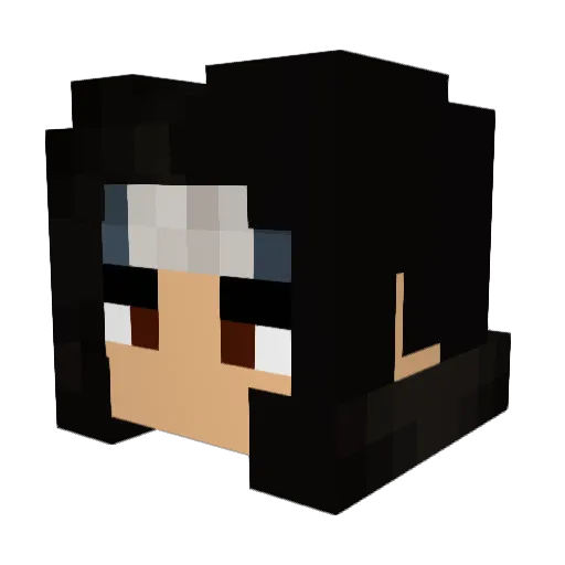 Cevin1 Minecraft avatar head, 3D render