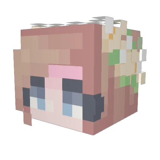 Ceyzid Minecraft avatar head, 3D render