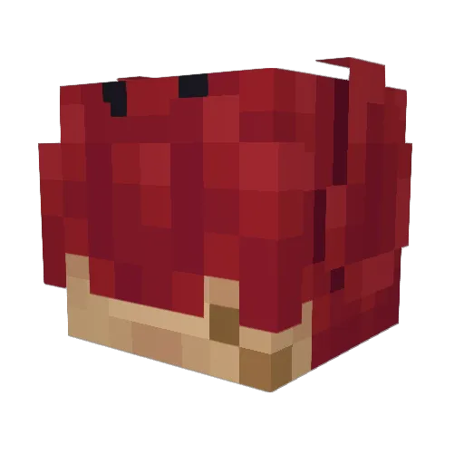 Cezym Minecraft avatar head, 3D render