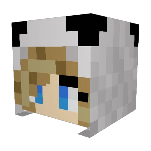 CfAlt79 Minecraft avatar head, 3D render