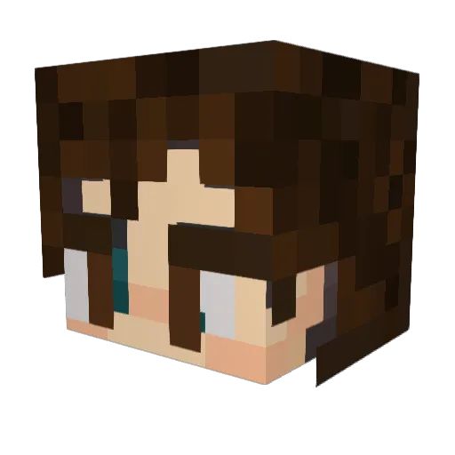 CforCaden Minecraft avatar head, 3D render