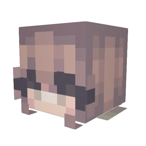 Cgrace25 Minecraft avatar head, 3D render