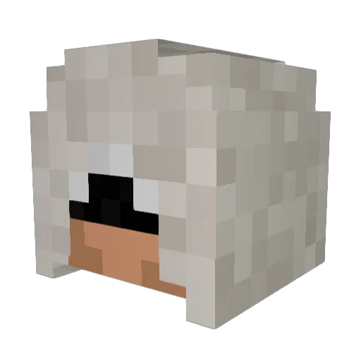 CgsMontaraz Minecraft avatar head, 3D render