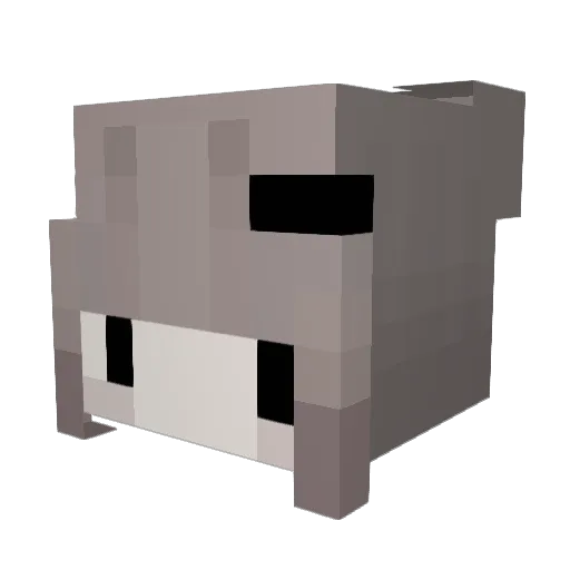 CgxYummerzz Minecraft avatar head, 3D render