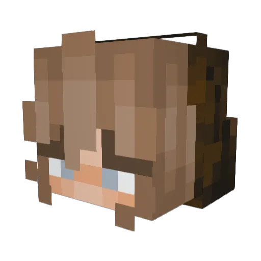 Ch00c00 Minecraft avatar head, 3D render