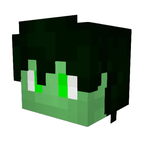 Ch0nkii Minecraft avatar head, 3D render