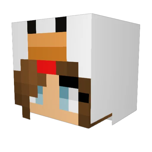 Ch1ckenpineapple Minecraft avatar head, 3D render