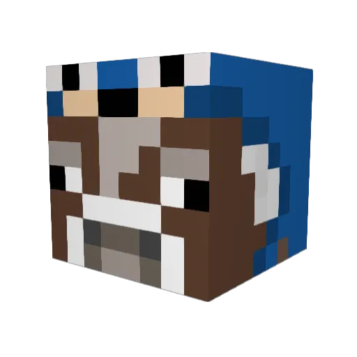 Ch1ckerd Minecraft avatar head, 3D render