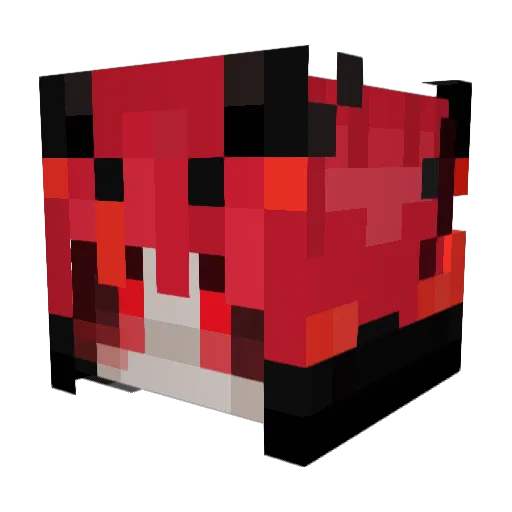 Ch1ll_Duck Minecraft avatar head, 3D render