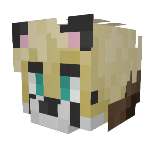 Ch1lled776 Minecraft avatar head, 3D render
