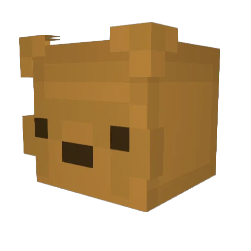 Ch3em Minecraft avatar head, 3D render