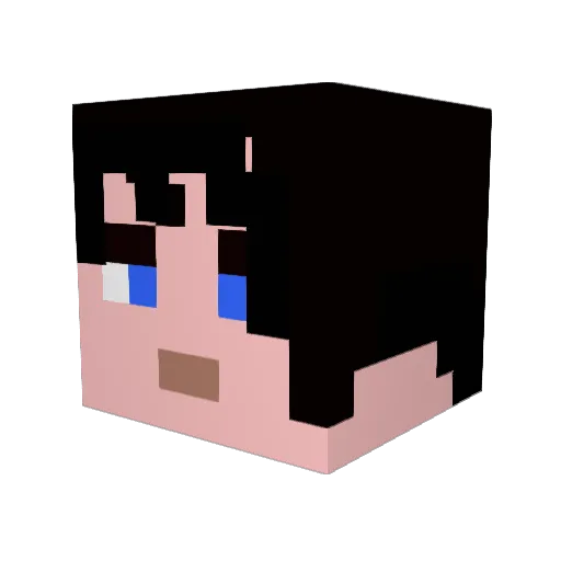 Ch3ll Minecraft avatar head, 3D render
