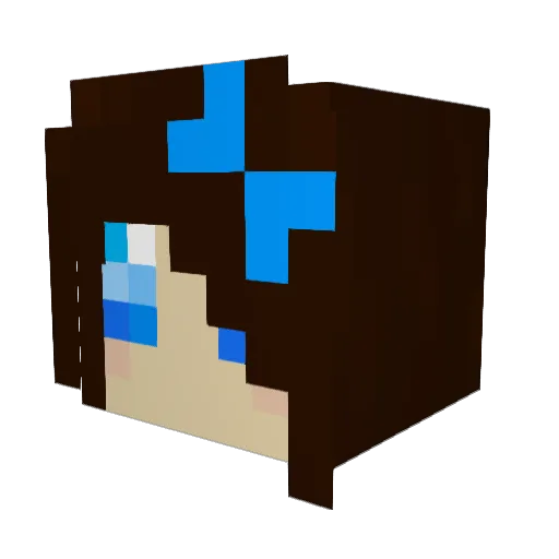 Ch4d0w Minecraft avatar head, 3D render