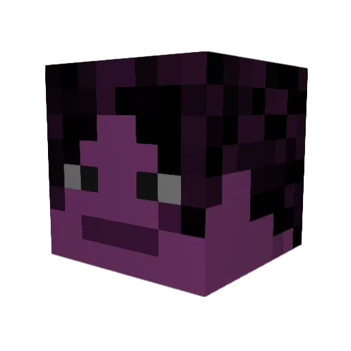 Cha1seR Minecraft avatar head, 3D render