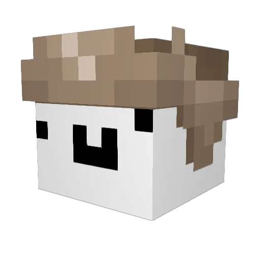 ChaSushi Minecraft avatar head, 3D render