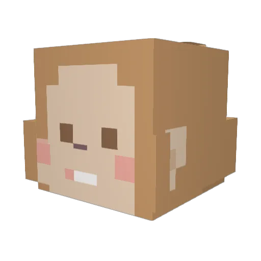 Cha__Shhh Minecraft avatar head, 3D render
