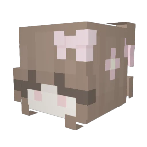 Chaaerin Minecraft avatar head, 3D render