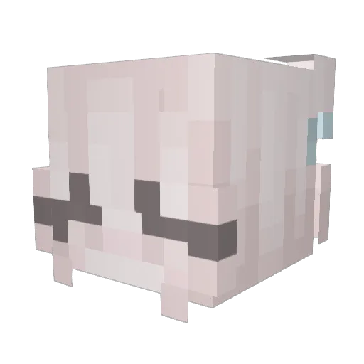 Chaanny Minecraft avatar head, 3D render