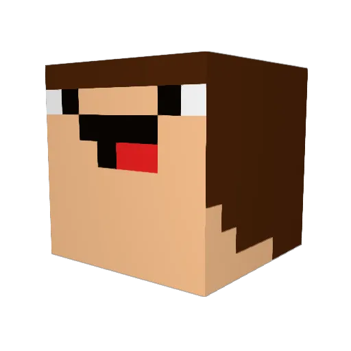 Chaarlesss Minecraft avatar head, 3D render