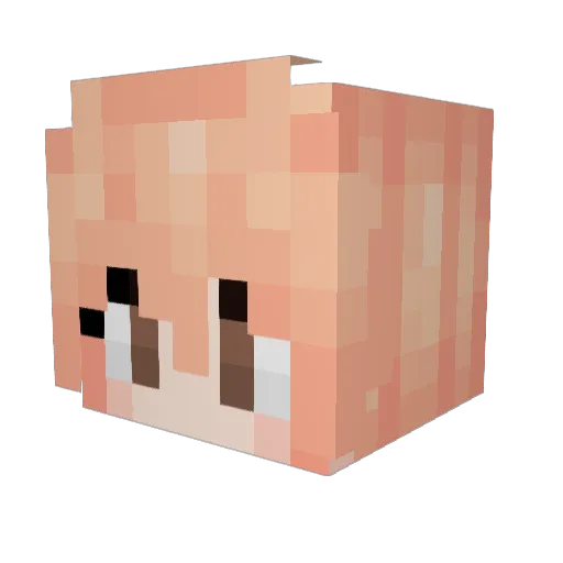 Chaawo Minecraft avatar head, 3D render