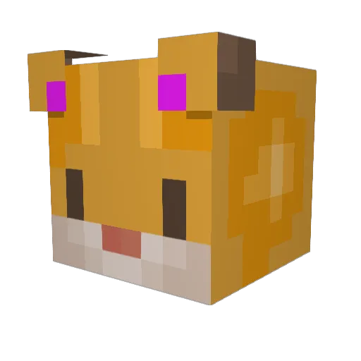 Chabeeeee Minecraft avatar head, 3D render