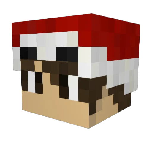 Chachacha123 Minecraft avatar head, 3D render