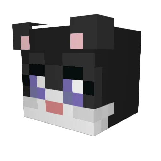 ChackSparrow Minecraft avatar head, 3D render