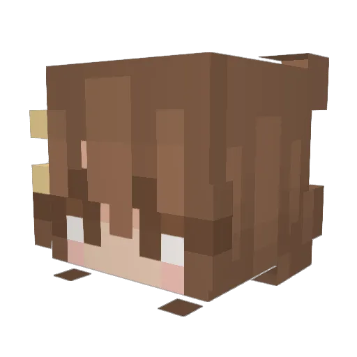 ChacoBara Minecraft avatar head, 3D render