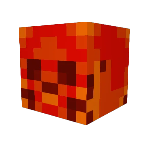 Chaconut Minecraft avatar head, 3D render