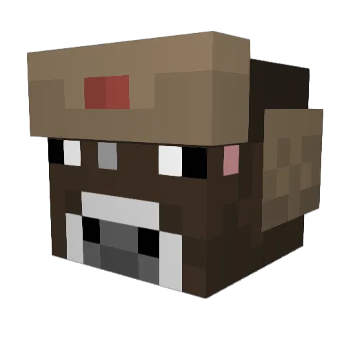 ChadCraft2007 Minecraft avatar head, 3D render