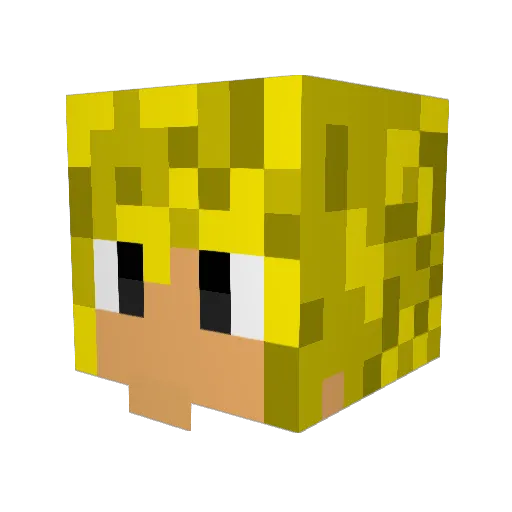 ChadSlamburger Minecraft avatar head, 3D render
