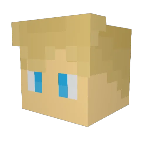 Chadwick1 Minecraft avatar head, 3D render