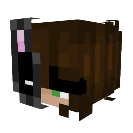 Chae_n Minecraft avatar head, 3D render