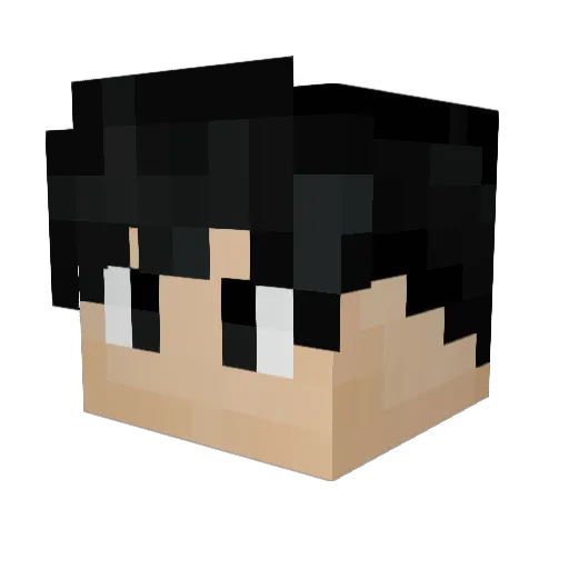 Chaedle Minecraft avatar head, 3D render