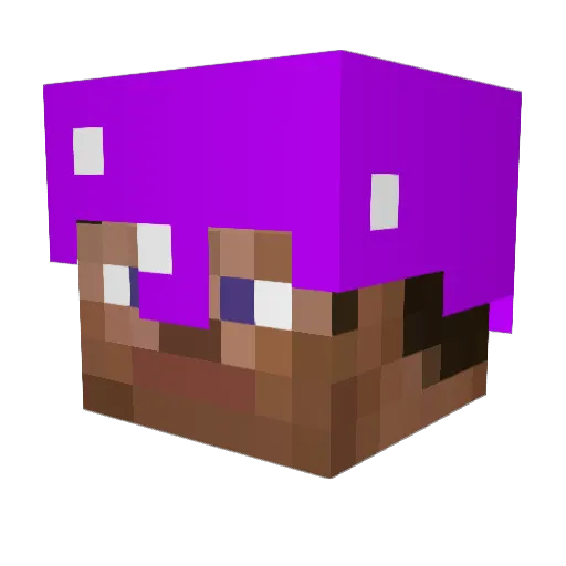 Chaelie Minecraft avatar head, 3D render