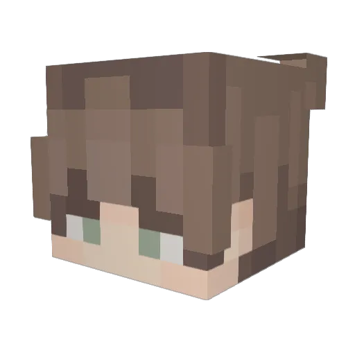 Chaffynnch Minecraft avatar head, 3D render