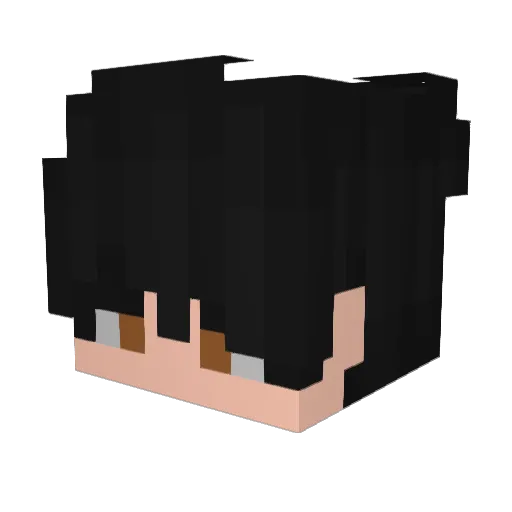 Chagers Minecraft avatar head, 3D render