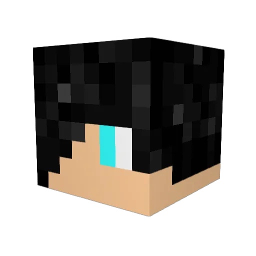 Chagi33 Minecraft avatar head, 3D render