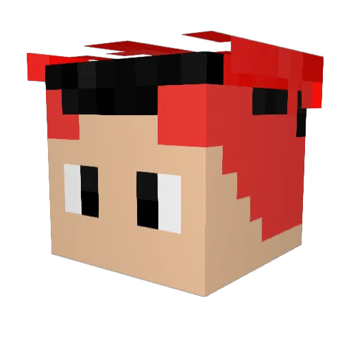 Chagio_2204 Minecraft avatar head, 3D render
