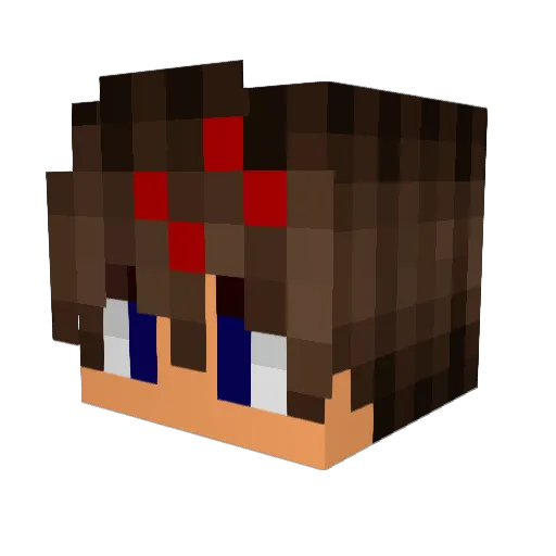 Chai0116 Minecraft avatar head, 3D render