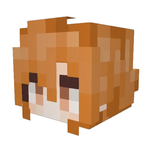 ChaiJinG666 Minecraft avatar head, 3D render