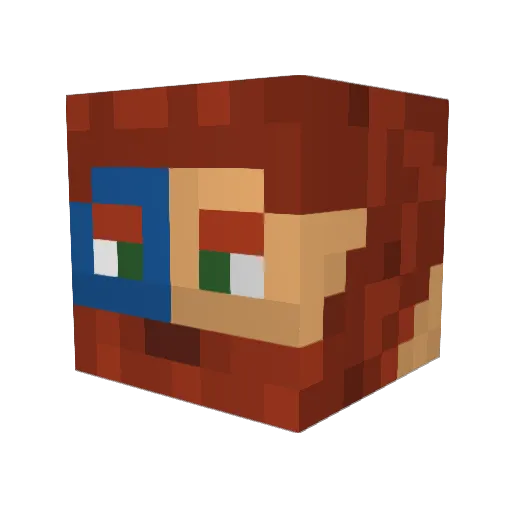 Chaid08 Minecraft avatar head, 3D render