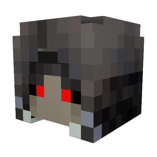 Chaidan4544 Minecraft avatar head, 3D render