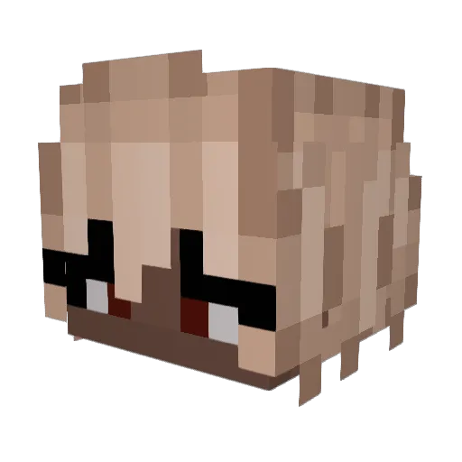 Chails Minecraft avatar head, 3D render