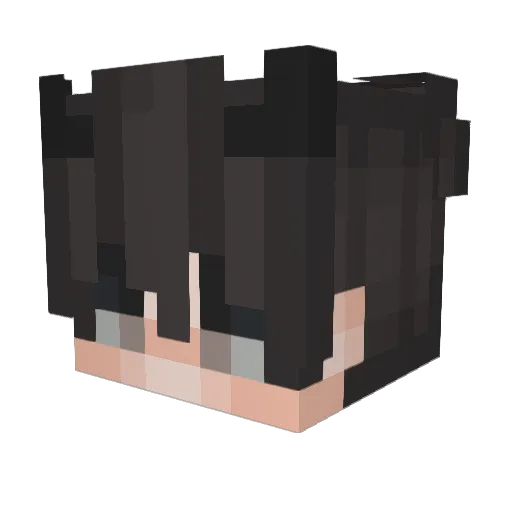 Chaine84 Minecraft avatar head, 3D render